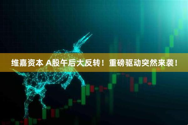 维嘉资本 A股午后大反转！重磅驱动突然来袭！