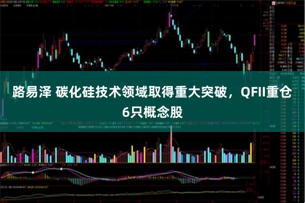 路易泽 碳化硅技术领域取得重大突破，QFII重仓6只概念股